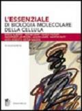 L'essenziale di «Biologia molecolare della cellula». Con CD-ROM