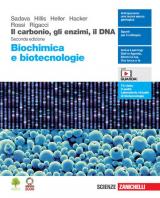 Il carbonio, gli enzimi, il DNA. Biochimica e biotecnologie. Con Contenuto digitale (fornito elettronicamente)
