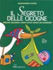 Il segreto delle cicogne