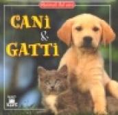 Cani e gatti