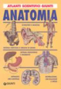 Anatomia. Ediz. illustrata