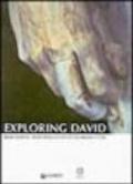 Exploring David. Diagnostic tests and state of conservation