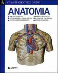 Anatomia. Ediz. illustrata