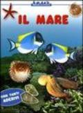 Il mare. Con stickers. Ediz. illustrata