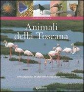 Animali della Toscana. Ediz. illustrata