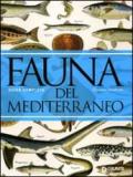 Fauna del Mediterraneo. Ediz. illustrata