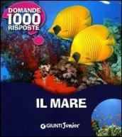 Il mare