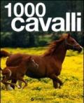 Mille cavalli. Ediz. illustrata