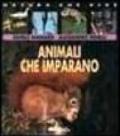 Animali che imparano