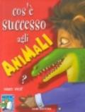 Cos'è successo agli animali?