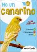 Ho un canarino. Il carattere, l'alimentazione, le cure. Con adesivi