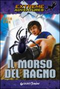 Il morso del ragno