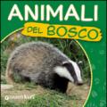 Animali del bosco. Ecco gli animali