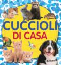 CUCCIOLI DI CASA