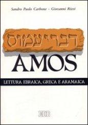 Il libro di Amos. Lettura ebraica, greca e aramaica