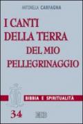 I canti della terra del mio pellegrinaggio. (Sal 119,54)