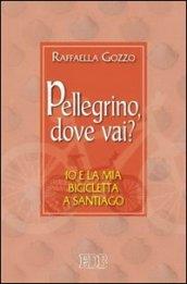 Pellegrino, dove vai? Io e la mia bicicletta a Santiago