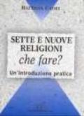 Sette e nuove religioni. Che fare? Un'introduzione pratica