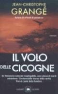 Il volo delle cicogne