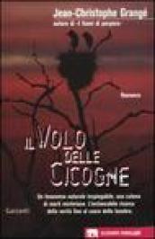 Il volo delle cicogne