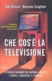 Che cos'è la televisione. Il piccolo schermo fra cultura e società: i generi, l'industria, il pubblico