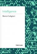 Intelligence