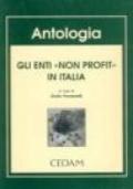 Gli enti «Non profit» in Italia. Associazioni, fondazioni, volontariato, trust, fondi pensioni
