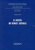 Il sistema dei budget aziendali