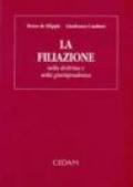 La filiazione nella dottrina e nella giurisprudenza