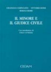 Il minore e il giudice civile