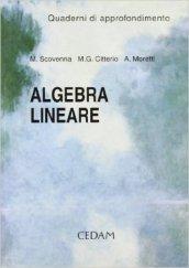 Algebra lineare. Quaderno di approfondimento. Per le Scuole