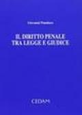 Il diritto penale tra legge e giudice. Raccolta di scritti