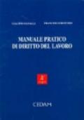 Manuale pratico di diritto del lavoro