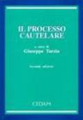 Il processo cautelare