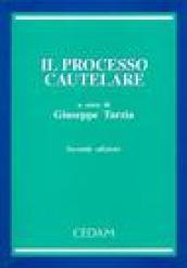 Il processo cautelare