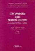 Cosa apprendere dalla proprietà collettiva. La consuetudine fra tradizione e modernità. Atti dell'8ª Riunione scientifica (Trento, 14-15 novembre 2002)