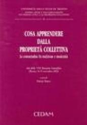 Cosa apprendere dalla proprietà collettiva. La consuetudine fra tradizione e modernità. Atti dell'8ª Riunione scientifica (Trento, 14-15 novembre 2002)