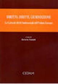 Diritto, diritti, giurisdizione. La carta dei diritti fondamentali dell'Unione Europea