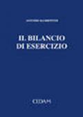 Il bilancio di esercizio