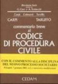 Commentario breve al Codice di procedura civile. Appendice di aggiornamento 2004