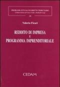 Reddito di impresa e programma imprenditoriale