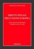 Diritto penale dell'Unione europea. Questioni controverse e prospettive future