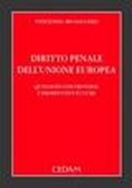 Diritto penale dell'Unione europea. Questioni controverse e prospettive future