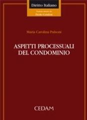 Aspetti processuali del condominio