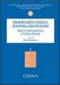 Discriminazione razziale, xenofobia, odio religioso. Diritti fondamentali e tutela penale