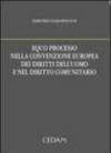 Equo processo nella convenzione europea dei diritti dell'uomo e nel diritto comunitario