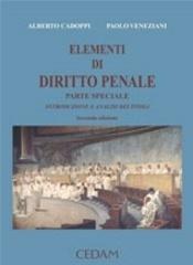 Elementi di diritto penale. Parte speciale. Introduzione e analisi dei titoli