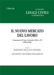 Il nuovo mercato del lavoro