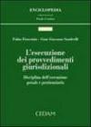 L'esecuzione dei provvedimenti giurisdizionali. Disciplina dell'esecuzione penale e finanziaria