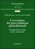 L'esecuzione dei provvedimenti giurisdizionali. Disciplina dell'esecuzione penale e finanziaria